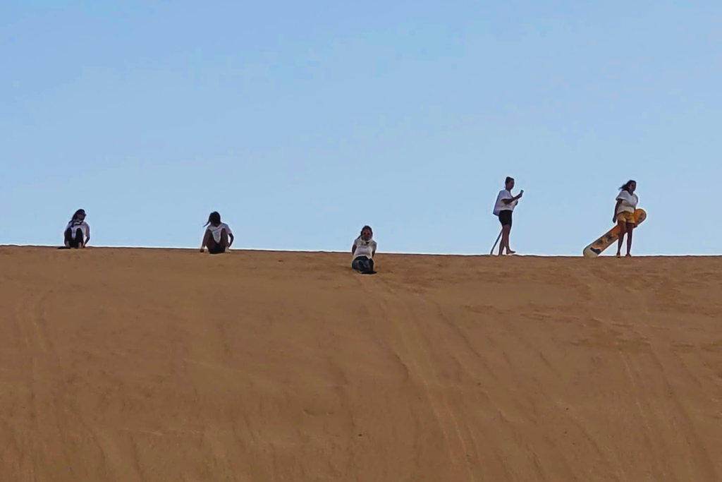 Sandboarding