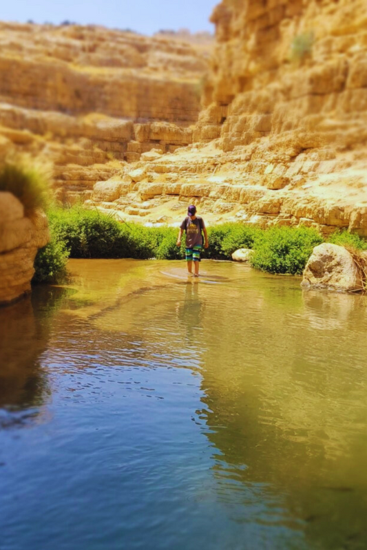 Ein Farah to Ein Mabuah Hike