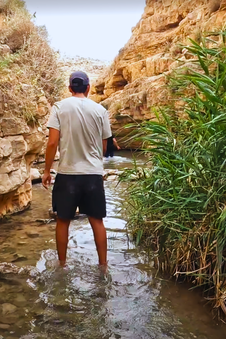 Ein Farah to Ein Mabuah Hike
