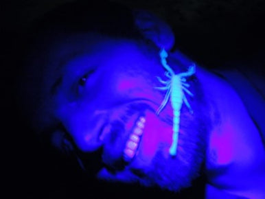 סיור עקרבים באזור מכתש רמון