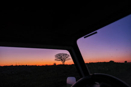 ספארי לילה בצפון רמת הגולן