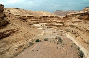 Easy Rider + Sandboarding