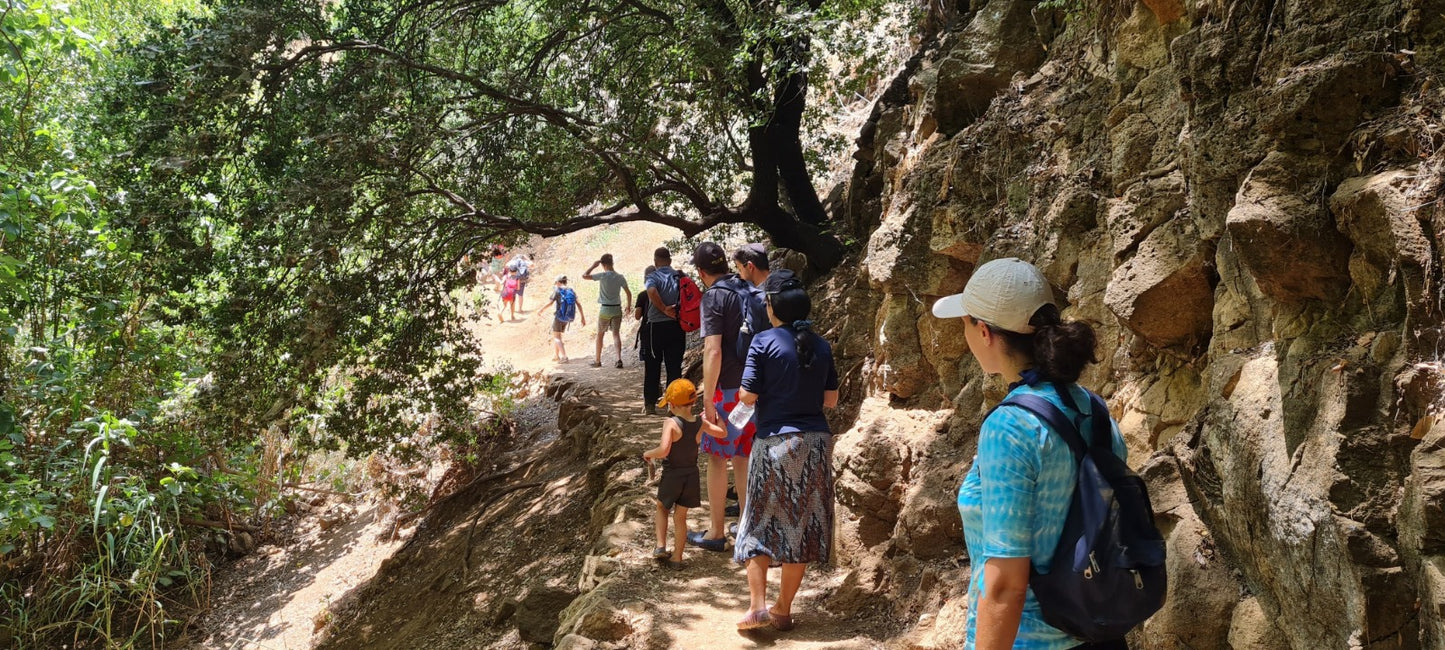 Banias Hike