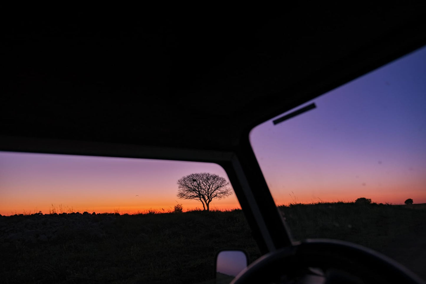 Jeep Tour Golan Heights Safari Night