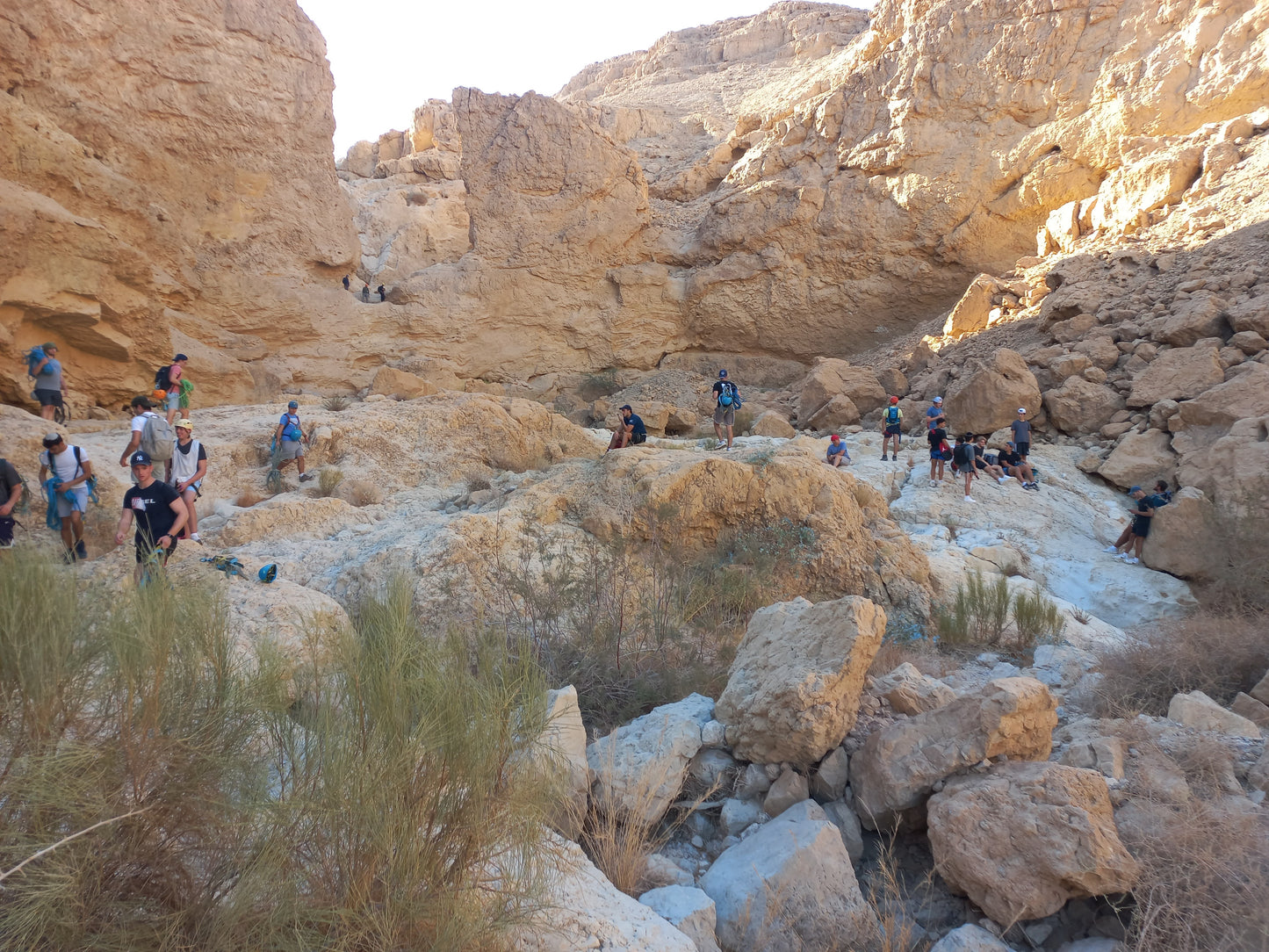 קניונינג בנחל חלמיש