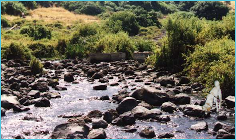 Water Hike at Darbashiya