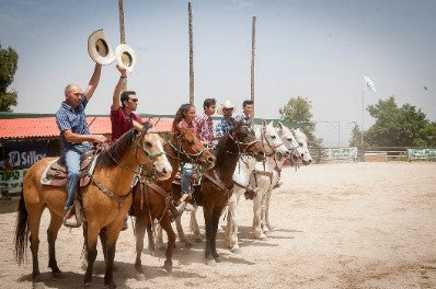 רכיבת סוסים ביער ביריה