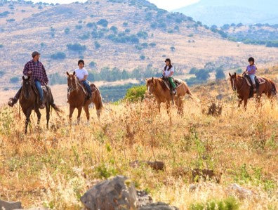 רכיבת סוסים ביער ביריה