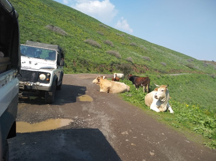 טיול ג'יפים בדרום רמת הגולן