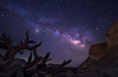 Star Gazing