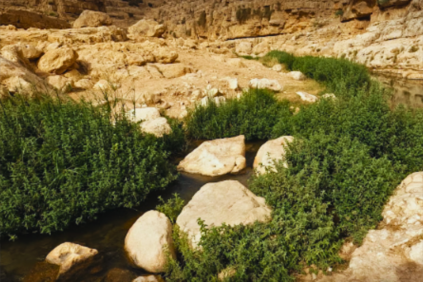 Ein Farah to Ein Mabuah Hike