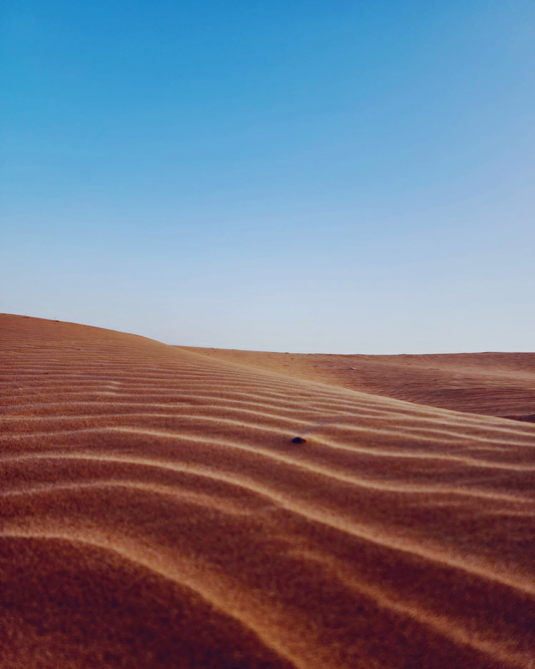 Sandboarding