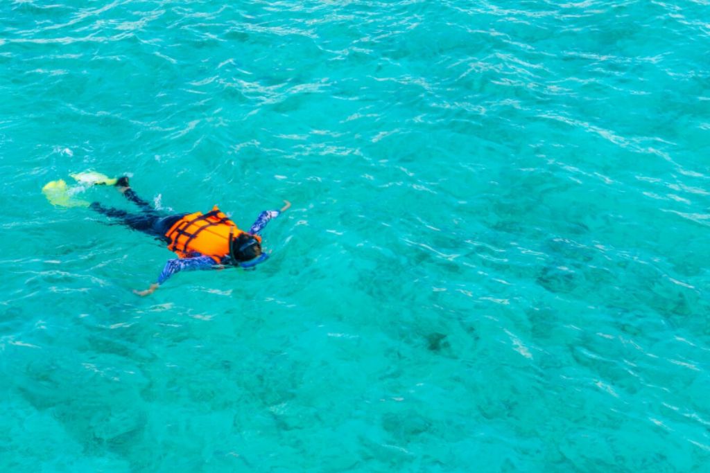 Tornado Boating plus Snorkeling