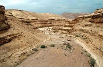 Jeep Tour Negev Heights