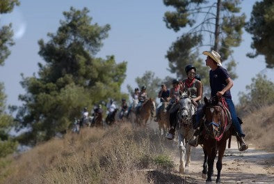 רכיבת סוסים ביער ביריה