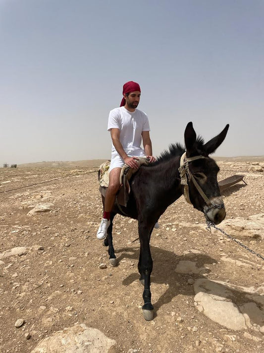 Bedouin Hospitality