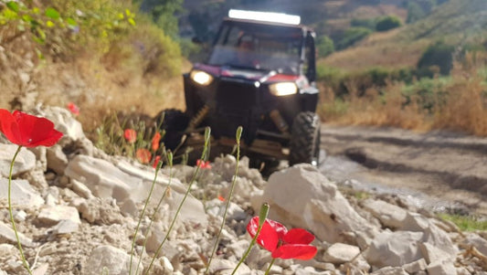 ATVing in the North