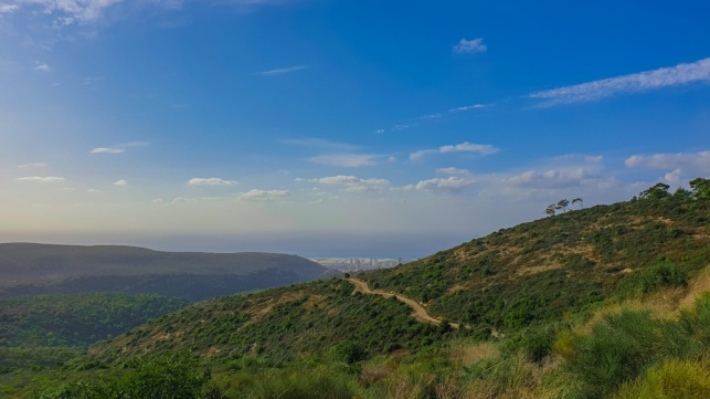 Hiking on Carmel Mountain