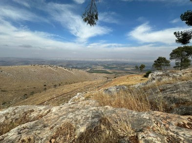 Gilboa Cliff (R + RC)