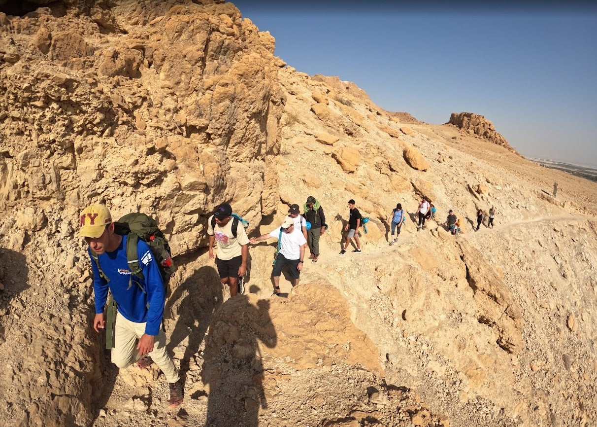 Group Tours