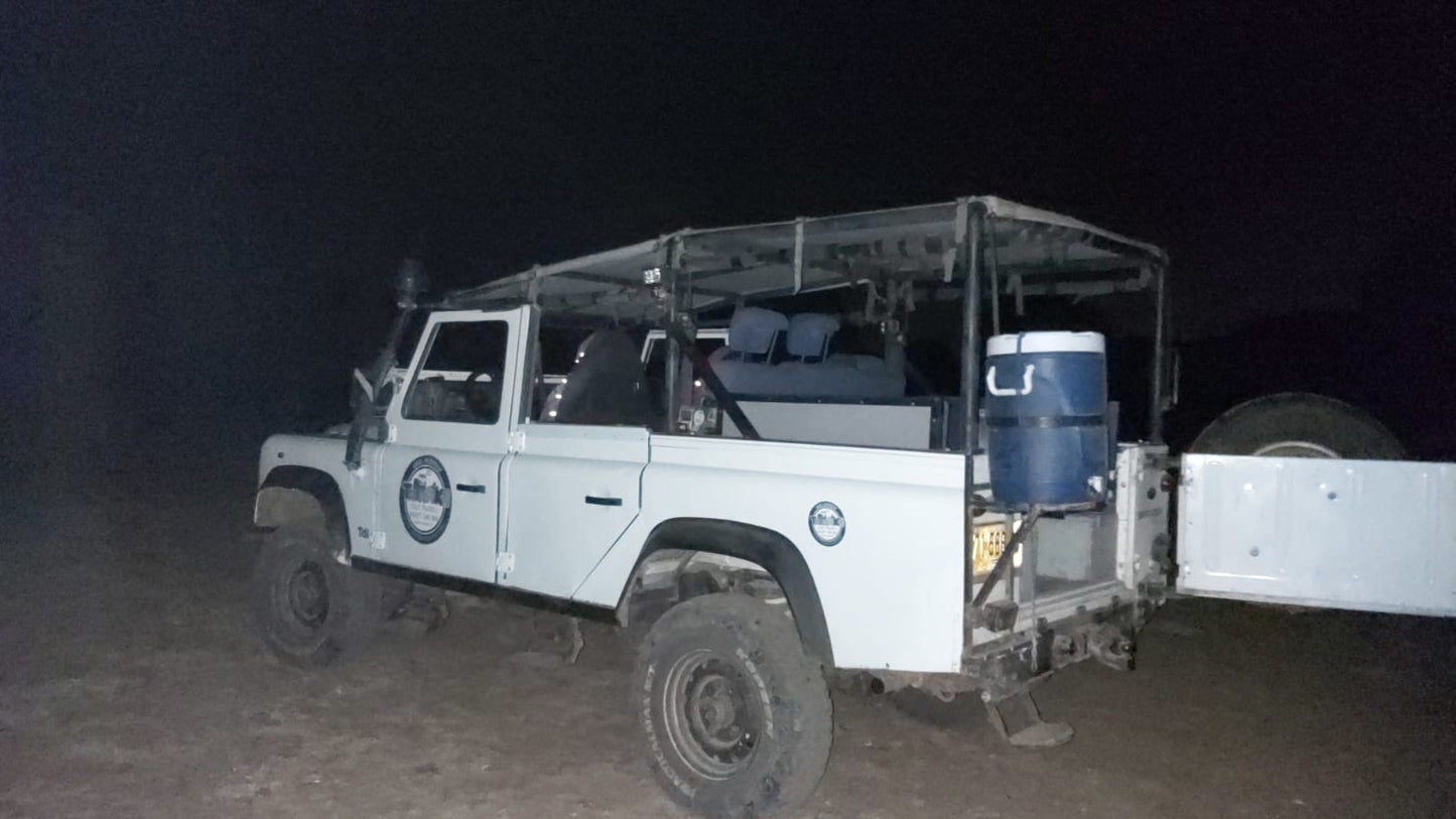 Jeep Tour Golan Heights Safari Night