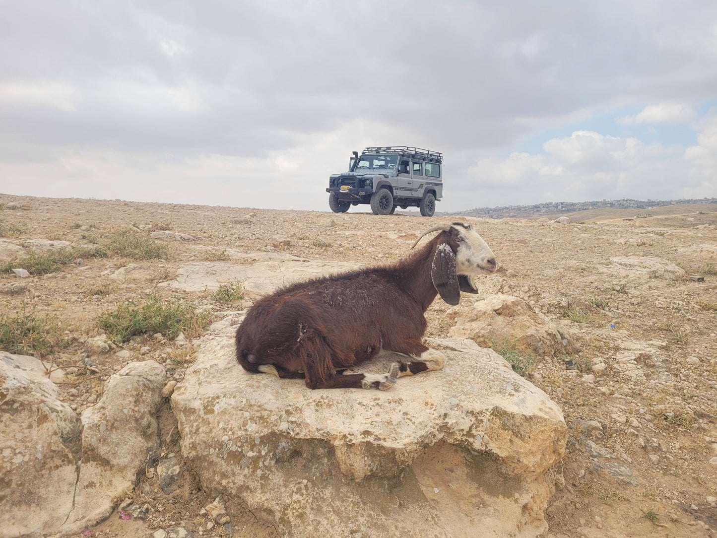 Jeep Tour: Jeeping in the Judean Desert