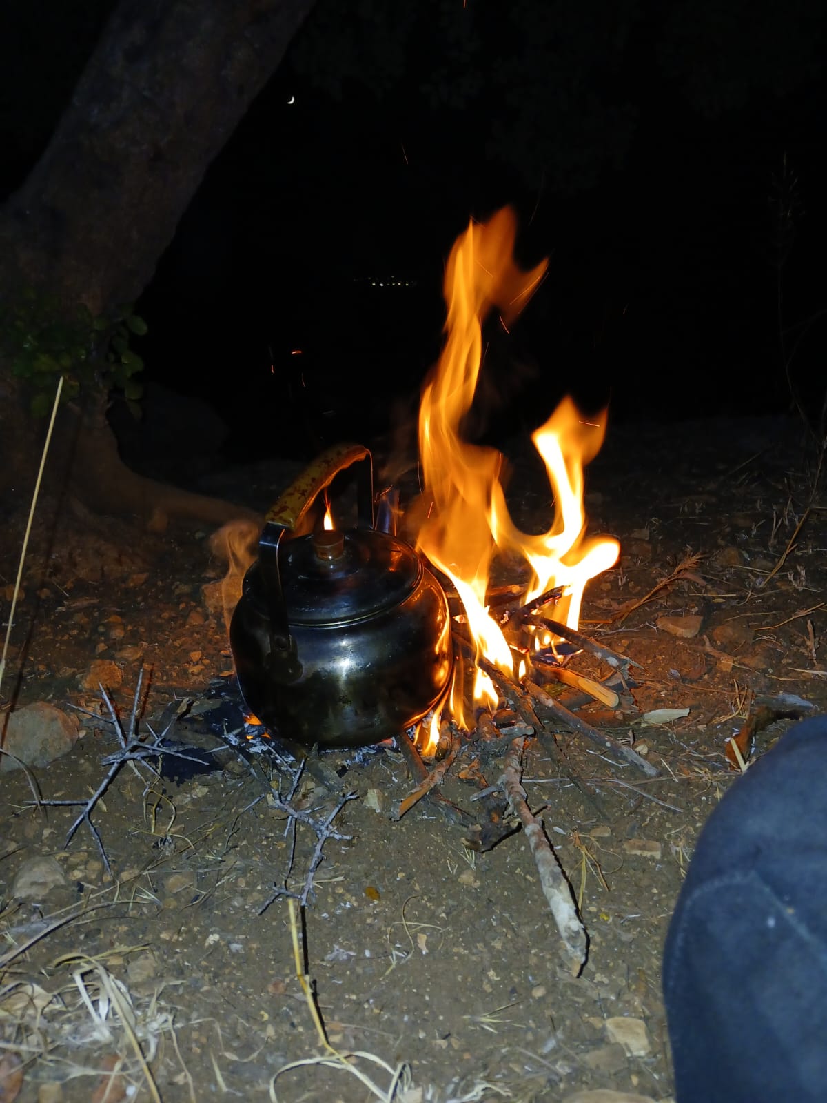 Jeep Tour Night Safari in the Jerusalem Mountains