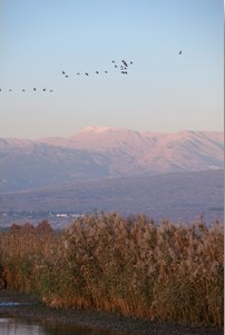 Jeep Tour in the North