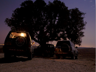 ספארי לילה ברמת הנגב