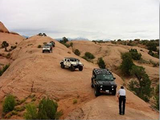 ספארי לילה ברמת הנגב