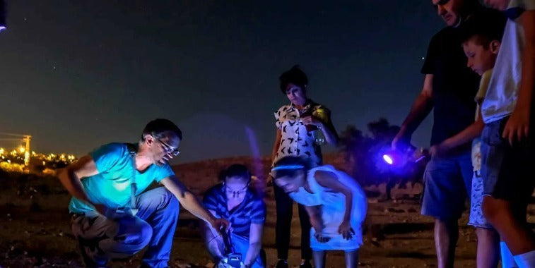 סיור עקרבים באזור מכתש רמון